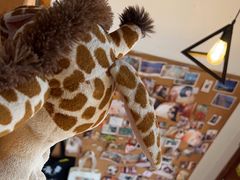 -长颈鹿咖啡(大学路店)