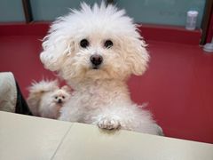 -和它·交个朋友·狗咖猫咖(爱琴海店)