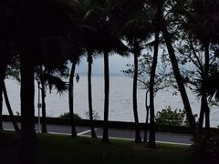 -深圳湾公园(南山区)