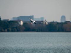 -蠡湖大桥公园