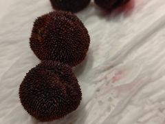 -龍歌自助小火锅(市北CBD万达店)