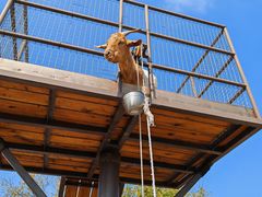 -珠海海泉湾神秘岛亲子乐园