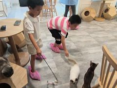 -楼上猫咖(罗湖店)