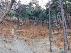 -香山公园