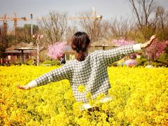 -西海岸生态观光园