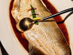清蒸白水鱼-醉庐·新上海菜(南京西路店)