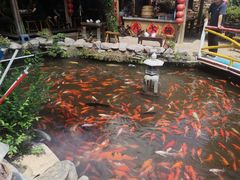-竹泉村旅游度假区