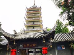 -生宇山珍野生菌汤锅•始于1999(双流古塔店)