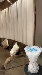 -DR REBORN美容·养发·身体