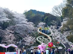 -杭州少年儿童公园