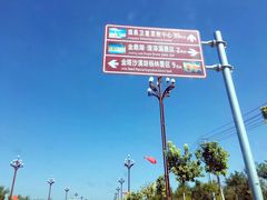 -金塔沙漠胡杨林景区