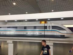 -浦东1号2号航站楼(地铁站)