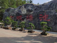 -金城公园