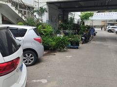 -双季花艺园艺市场(浦东店)