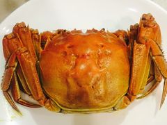 -品粹徽园·家常安徽菜