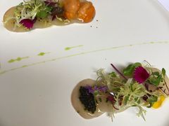 -蝶舍·MAISON PAPILLON