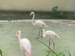 -成都动物园