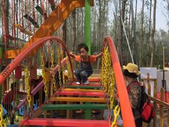 -合肥滨湖国家森林公园