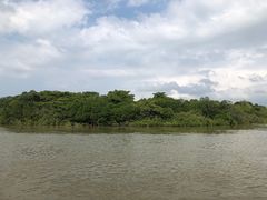 -东寨港红树林旅游区