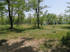 -天津东丽湖风景区