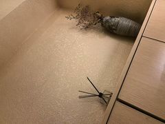 -麦子MaiMassage(打浦桥店)