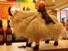 -如意林卡藏餐吧 (九寨沟店)