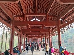 -重庆彩云湖湿地公园