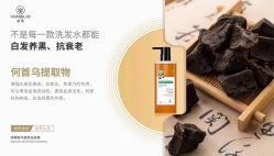 -东方美妍小鹏造型