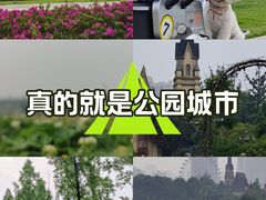 -成都南湖公园