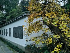 -成都杜甫草堂博物馆