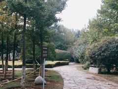 -前关湿地公园