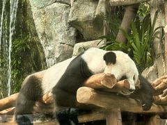 -香港海洋公园
