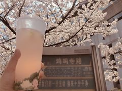 -鸡鸣赐茶(鸡鸣寺路店)