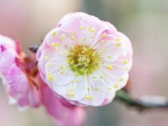 -董家湾重庆老火锅(嘉华店)