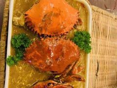 -茉莉.Red Crab