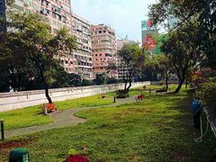 -九龙公园