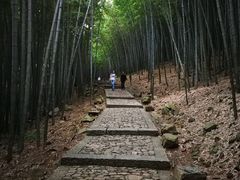-穹窿山景区