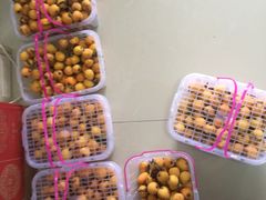 -塘栖枇杷特色园区