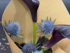 -Flower in(密渡桥店)