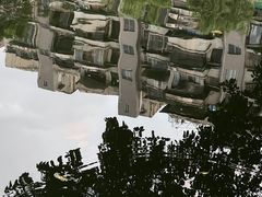 -荔湾湖公园