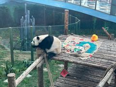 -大连森林动物园