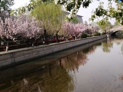 -元大都城垣遗址公园