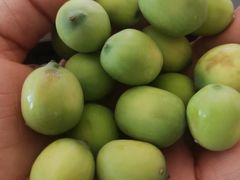 -回头食客-李久其家民间餐厅(望城金桥国际店)