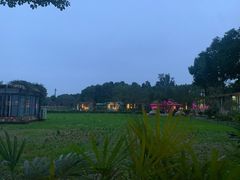 -洪湖家庭农场·团建·露营·会议