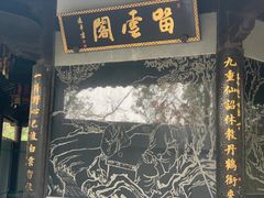 -上海佘山国家森林公园天马山园