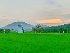 -艾米稻香小镇