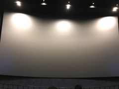 -SFC上影百联影城(川沙IMAX店)