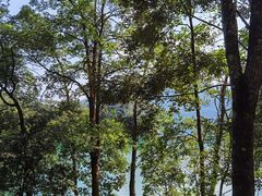 -广州市流溪河国家森林公园