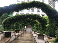 -伯衡55·吉品轩(乌鲁木齐南路店)