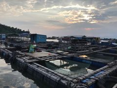 -海上驿站渔家菜馆